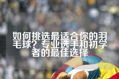 如何挑选最适合你的羽毛球？专业选手和初学者的最佳选择